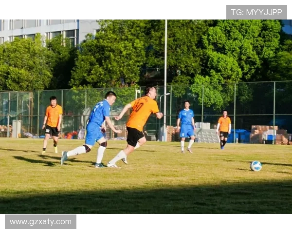 北京飞盘队技术对比深度剖析与其他队伍的优势与不足